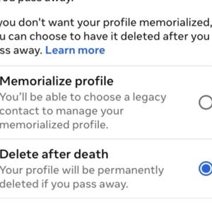 youll never catch the dragon