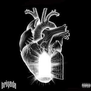 Intro (stinknormal) (Radio Edit)