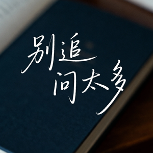 别追问太多(氛围版)