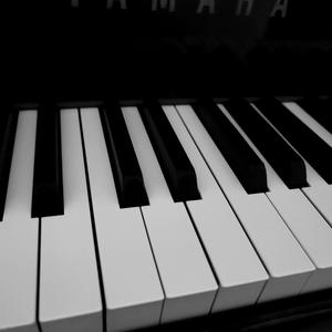 Beethoven Sonata Op.109 Ⅱ