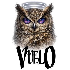 VUELO