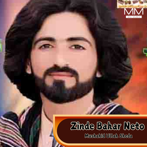 Zinde Bahar Neto