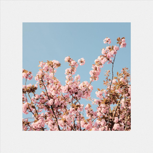 Alright (feat. Falsch)