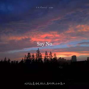 Say No