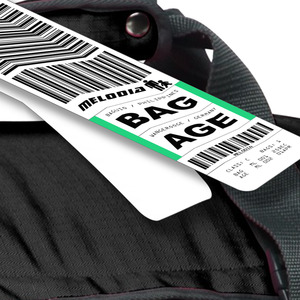 Baggage