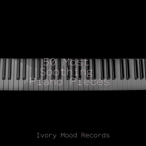 Harmonious Sunshine Bliss