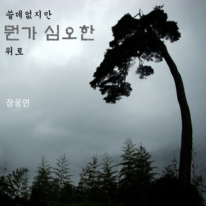 쓸데없지만 뭔가 심오한 위로