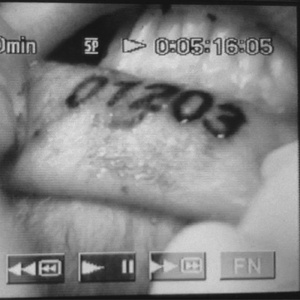 ZERO DWANA ZERO TRZY