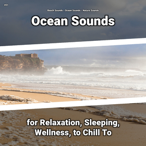 Beach Sounds for Healing