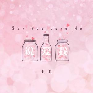 说爱我