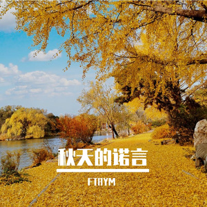 秋天的树叶-整曲