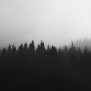 睡前引导丨睡觉丨白噪音丨学习