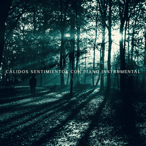 Cálidos Sentimientos con Piano Instrumental