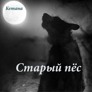 Старый пёс