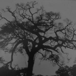 lost in all the quiet