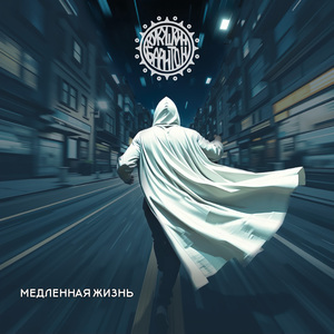 Медленная жизнь