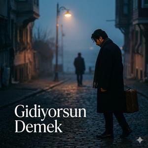 Gidiyorsun Demek