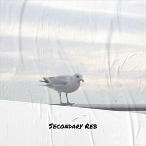 Secondary Reb