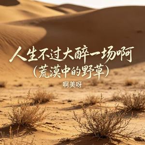 人生不过大醉一场啊(荒漠中的野草）