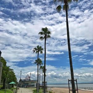 Goodbye my Lover-(Remix)（DruGTRaffickerS remix）