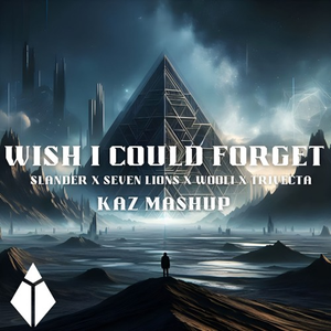 SLANDER, Bring Me The Horizon, Seven Lions, Wooli, Trivecta, WHYPER, Maypops, Nikademis, SampliFire - Wish I Could Forget (kaz Mashup)