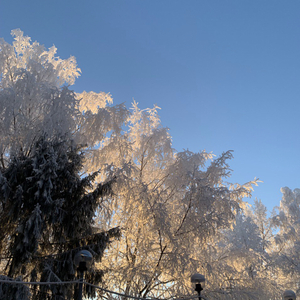 над0 (prod.uzzu + clvr)