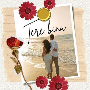 Tere Bina