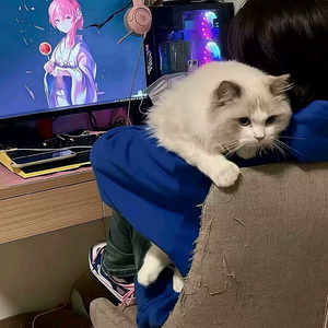 法国