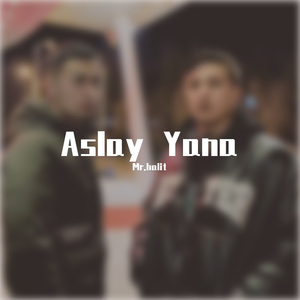 Aslay Yana