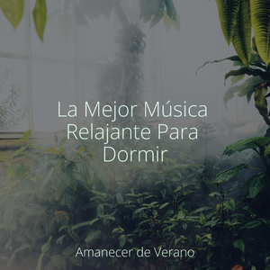 Ilusión Encantadora del Crepúsculo