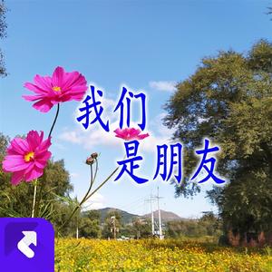 我们是朋友