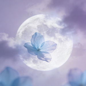 回忆把你带进梦里