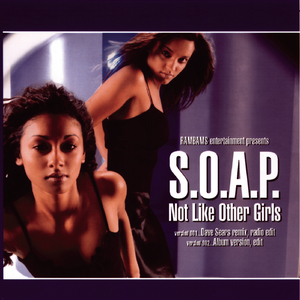 Not Like Other Girls (Reggae Version)