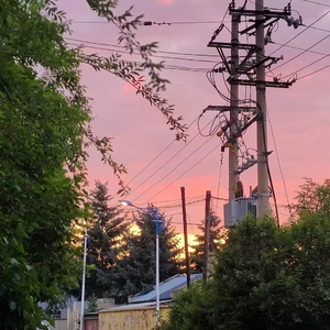 达尔文（翻唱蔡健雅）