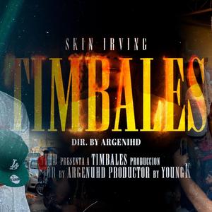 Timbales (feat. SkinirvinG)