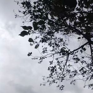 一万种心事