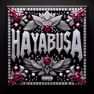 Hayabusa