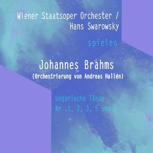 Ungarische Tänze - Nr .1 - Orchestrierung von Johannes Brahms G Minor: Allegro molto
