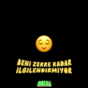 Beni Zerre Kadar İlgilendirmiyor