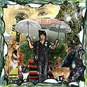 奔驰的小野马和带刺的玫瑰