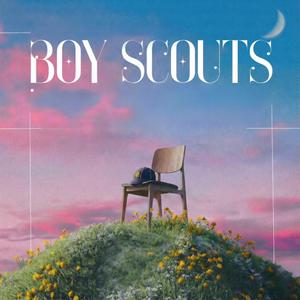 ลูกเสือสำรอง