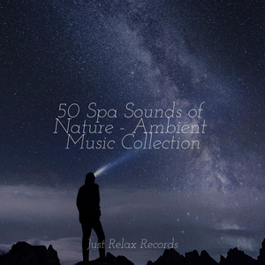 Whispers of Autumn's End