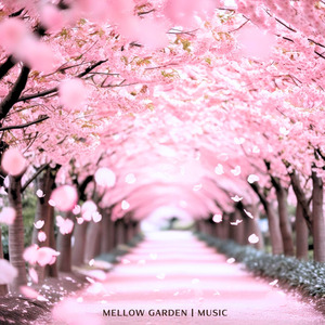 さぁ！お花見に出かけよう♪