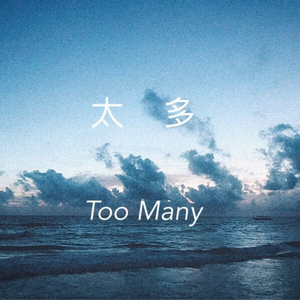 太多