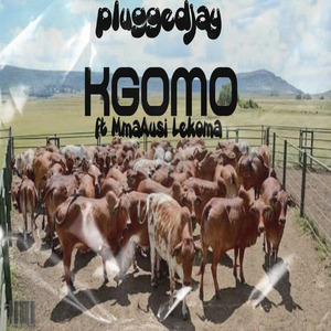 KGOMO (MmaAusi Lekoma)