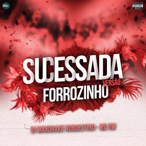 Sucessada Versão Forrozinho (feat. Mc Gw)