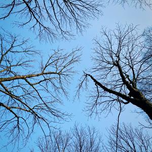 我们 许巍（cover）（翻自 许巍）