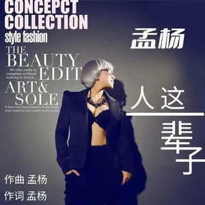 人这一辈子 (车载版)