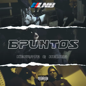 6Puntos