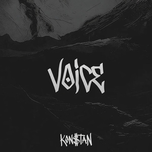Voice